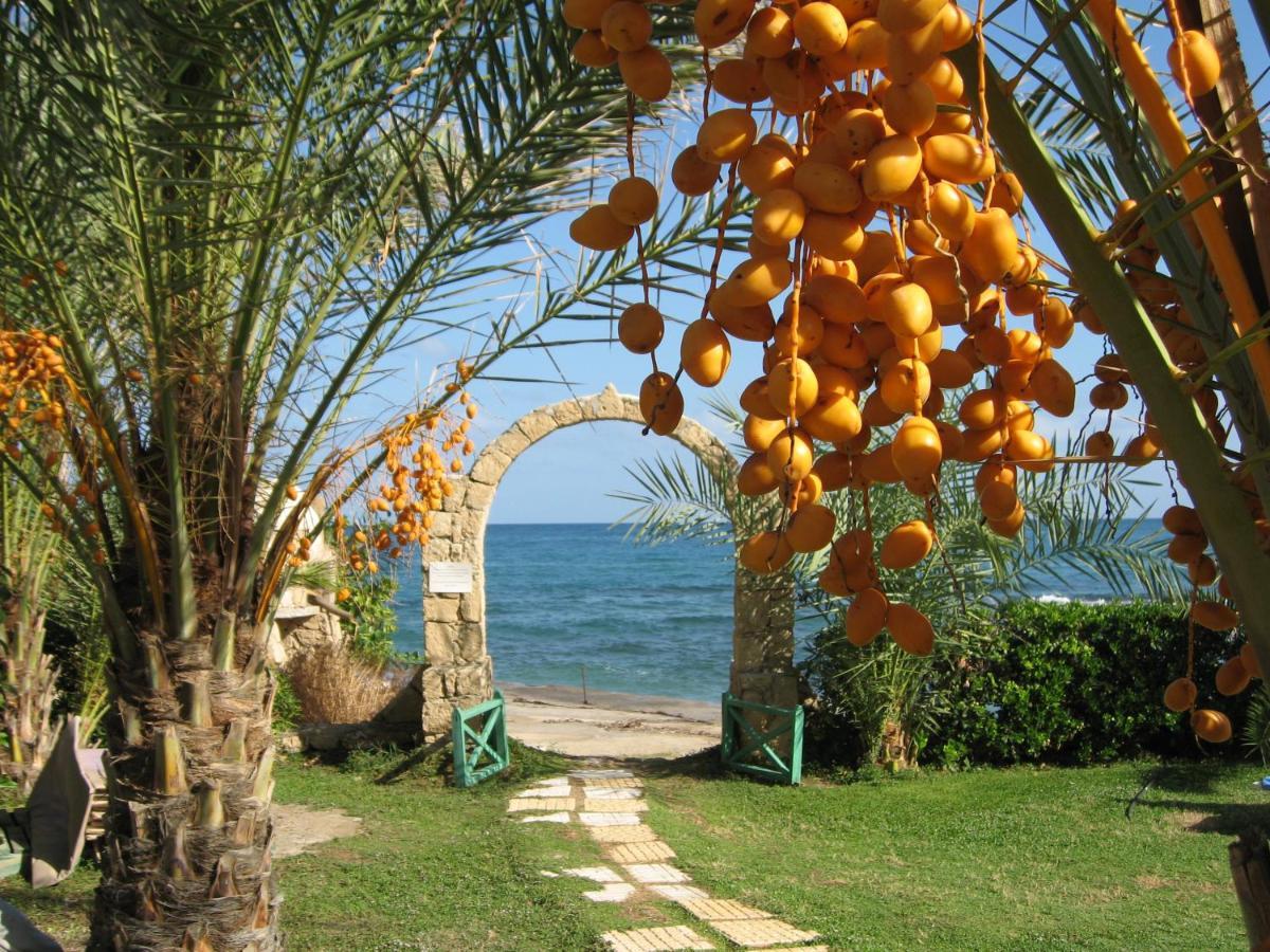 Topset Hotel Agios Georgios  المظهر الخارجي الصورة